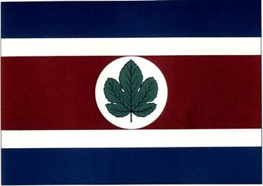 bandeira taquarituba